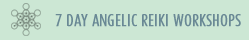 Angelic Reiki Workshop Title
