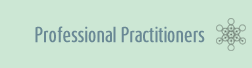 Professional Practitioners